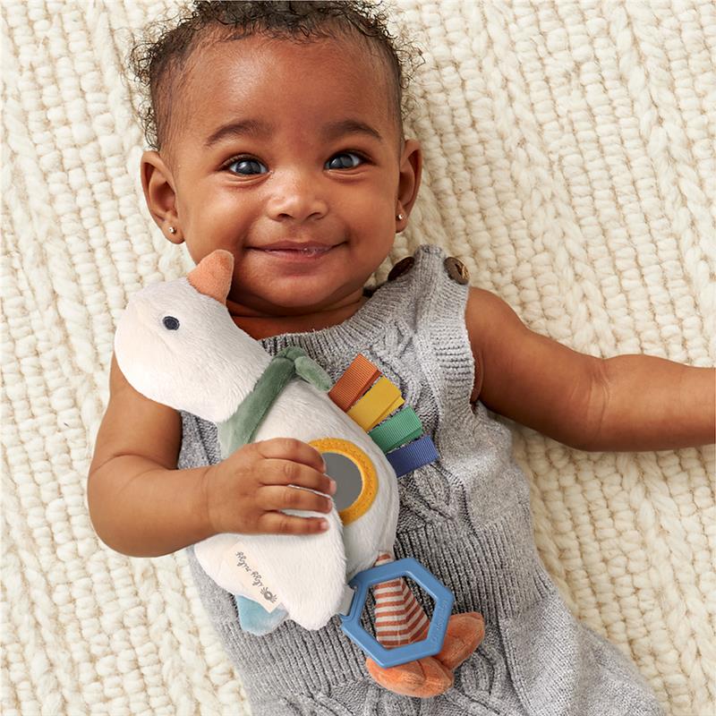 Goose Sensory Traveler Toy