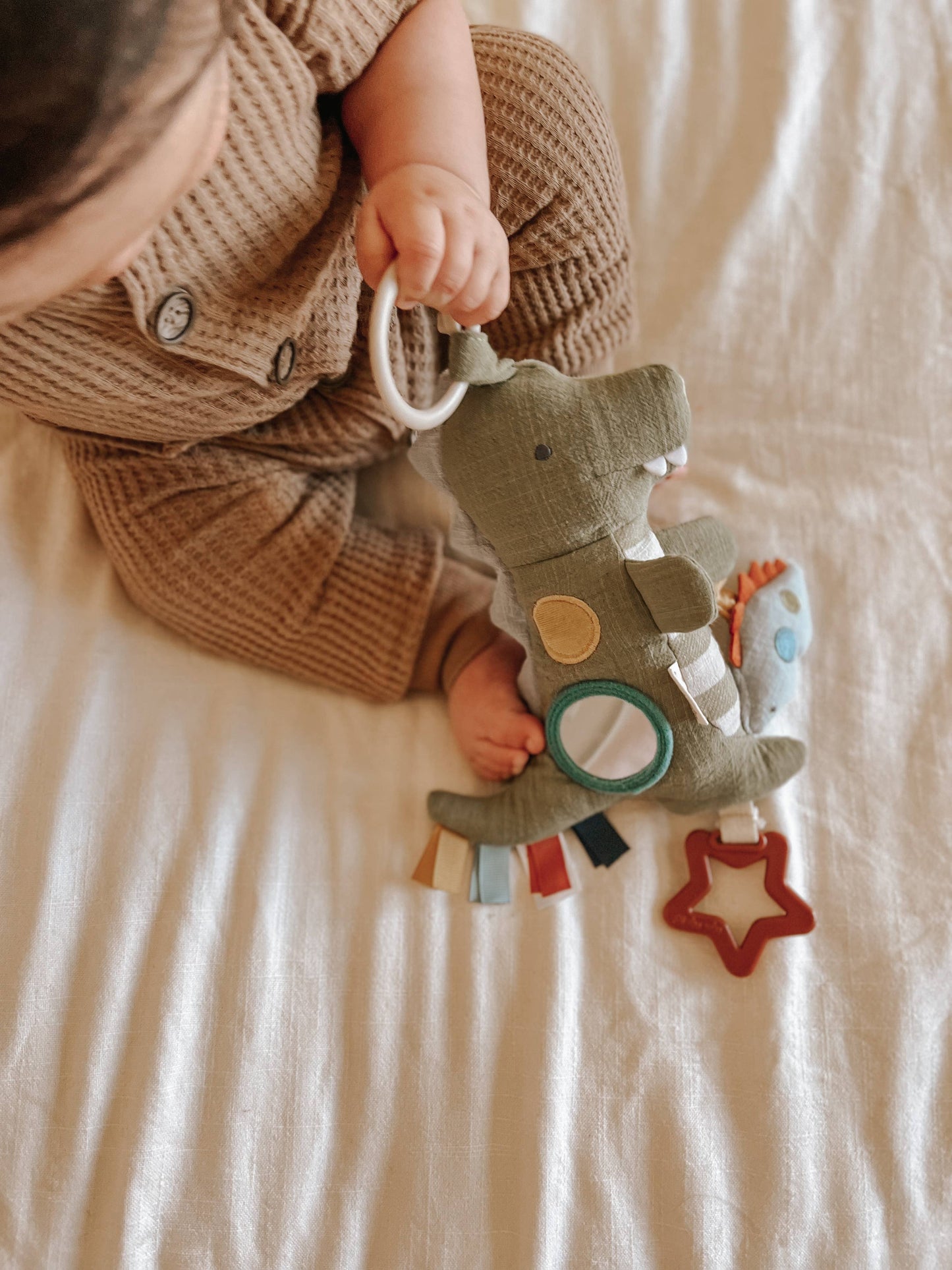 Dinosaur Sensory Travel Toy