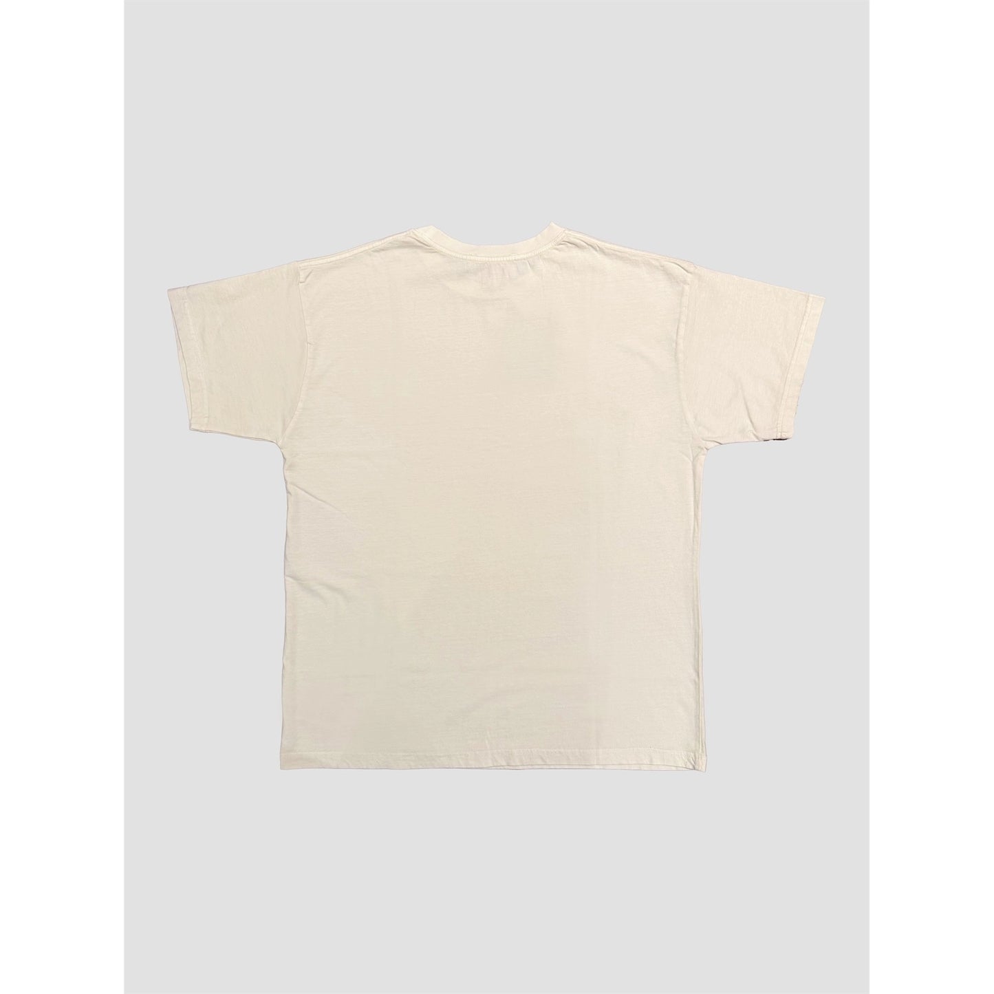 Washed Oversized Tee (Multiple Colors)