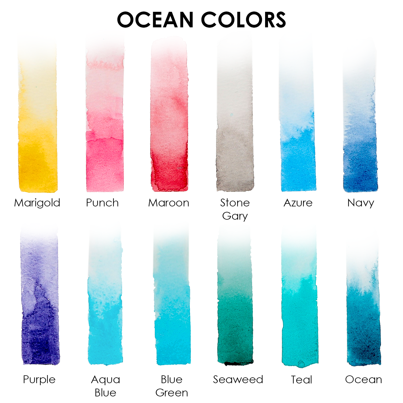Watercolor Pocket Set Of 12 With Brush
