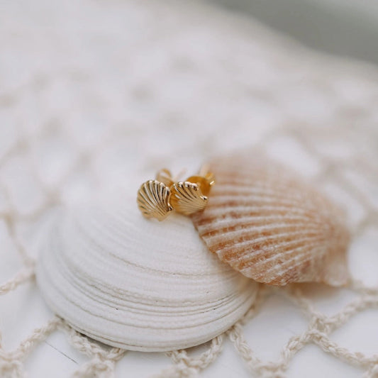 Sea Shell Studs | Gold