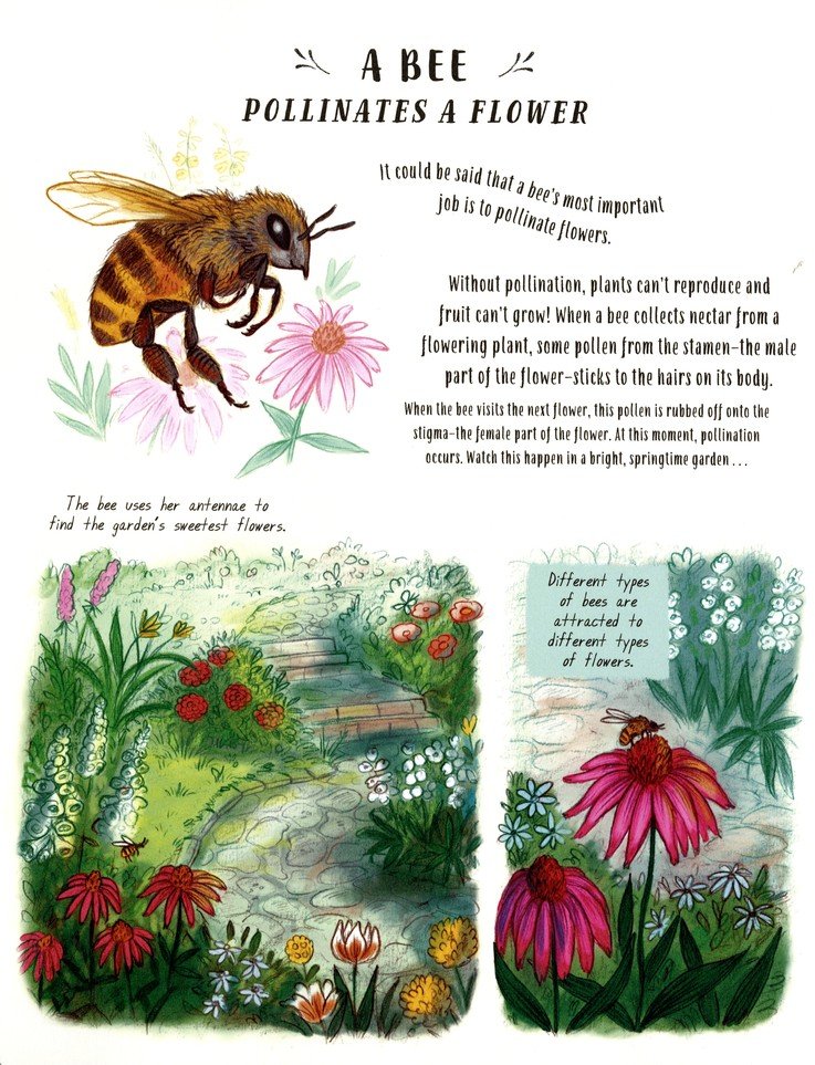 Slow Down Children's Book (50 Mindful Moments In Nature)