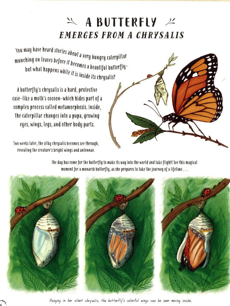 Slow Down Children's Book (50 Mindful Moments In Nature)