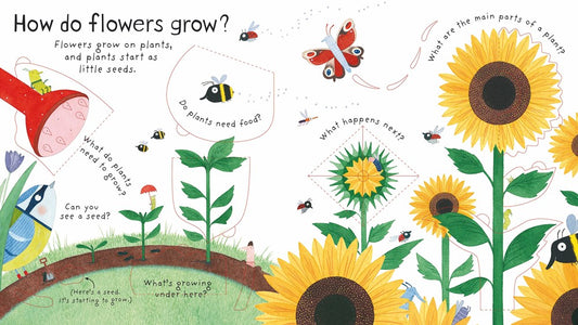 First Questions and Answers: How Do Flowers Grow?
