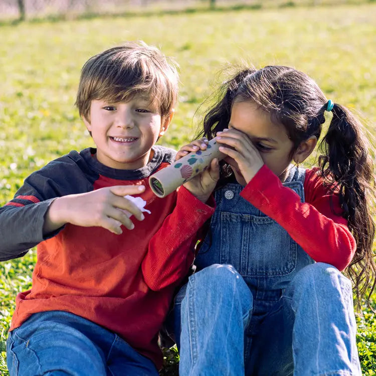 Huckleberry Kaleidoscope