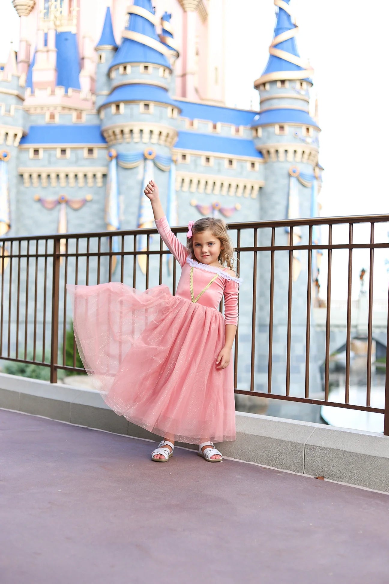 Princess Briar Rose Dress Up Costume