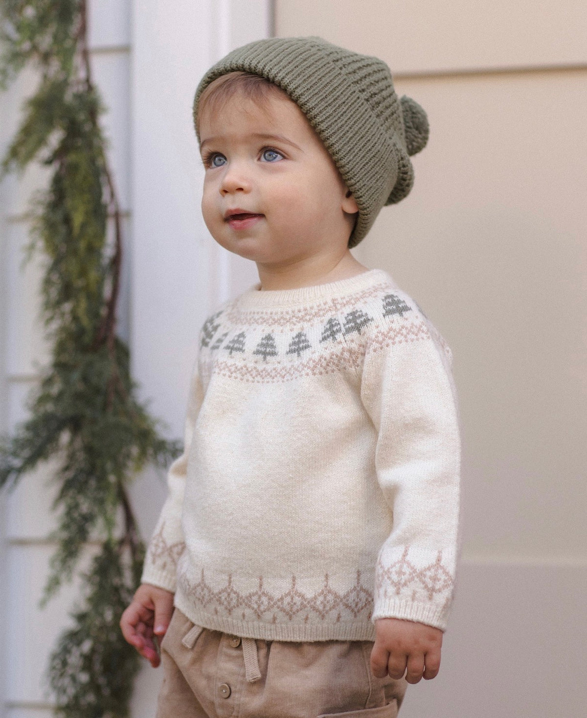 Beanie Spruce
