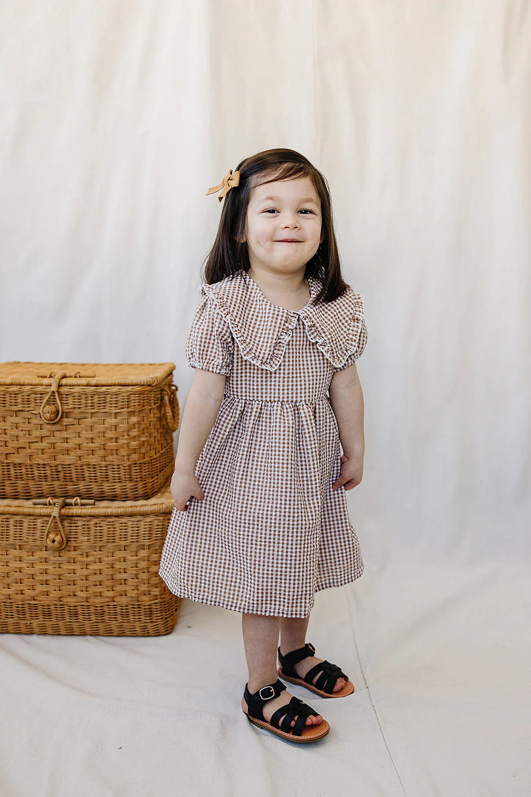 Gingham Collar Dress