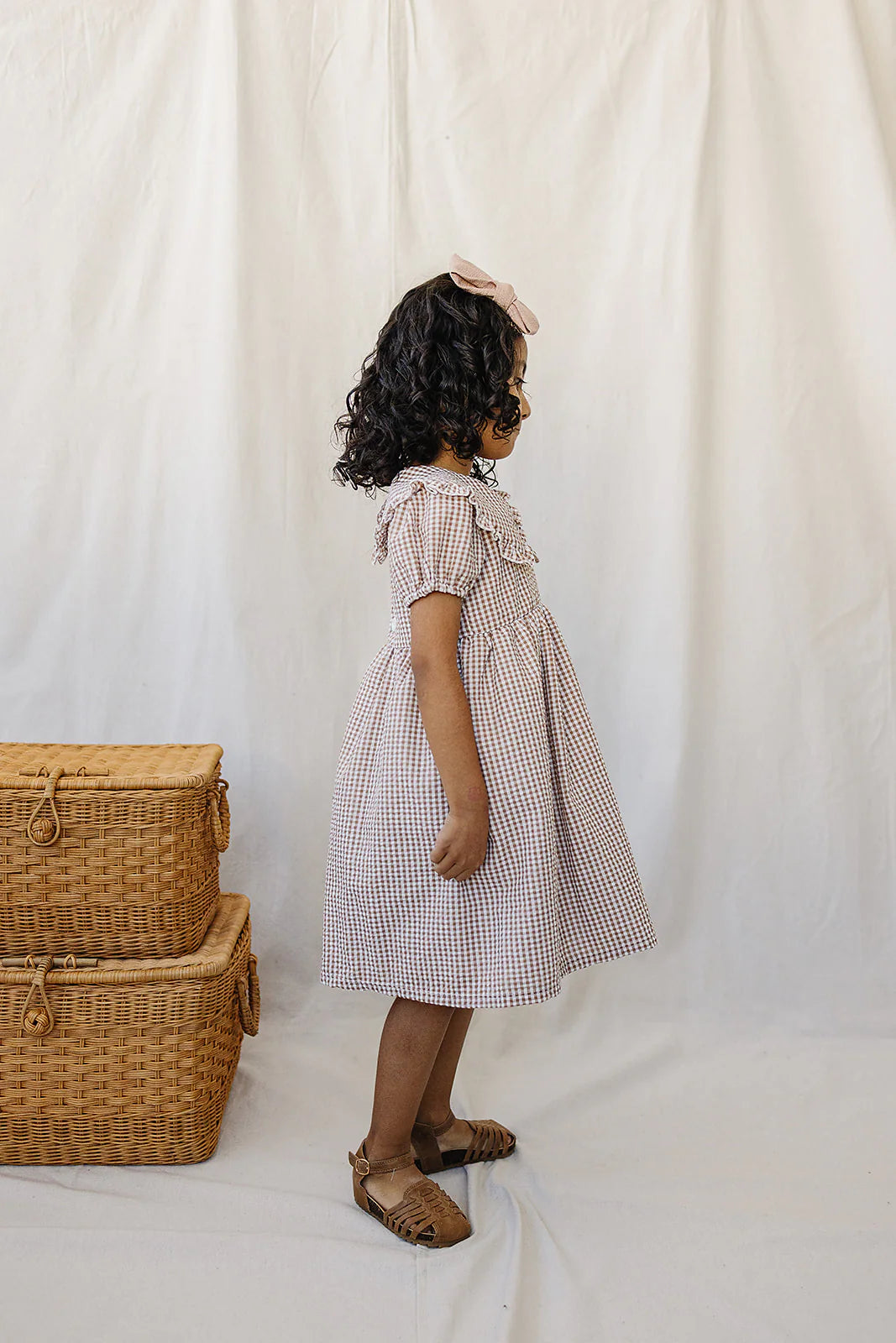 Gingham Collar Dress