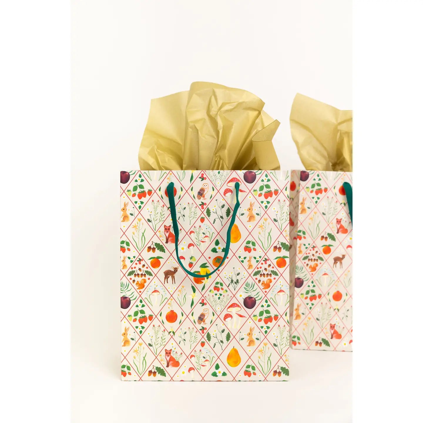 Flora Fauna Diamond Large Gift Bag