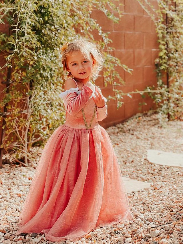 Princess Briar Rose Dress Up Costume