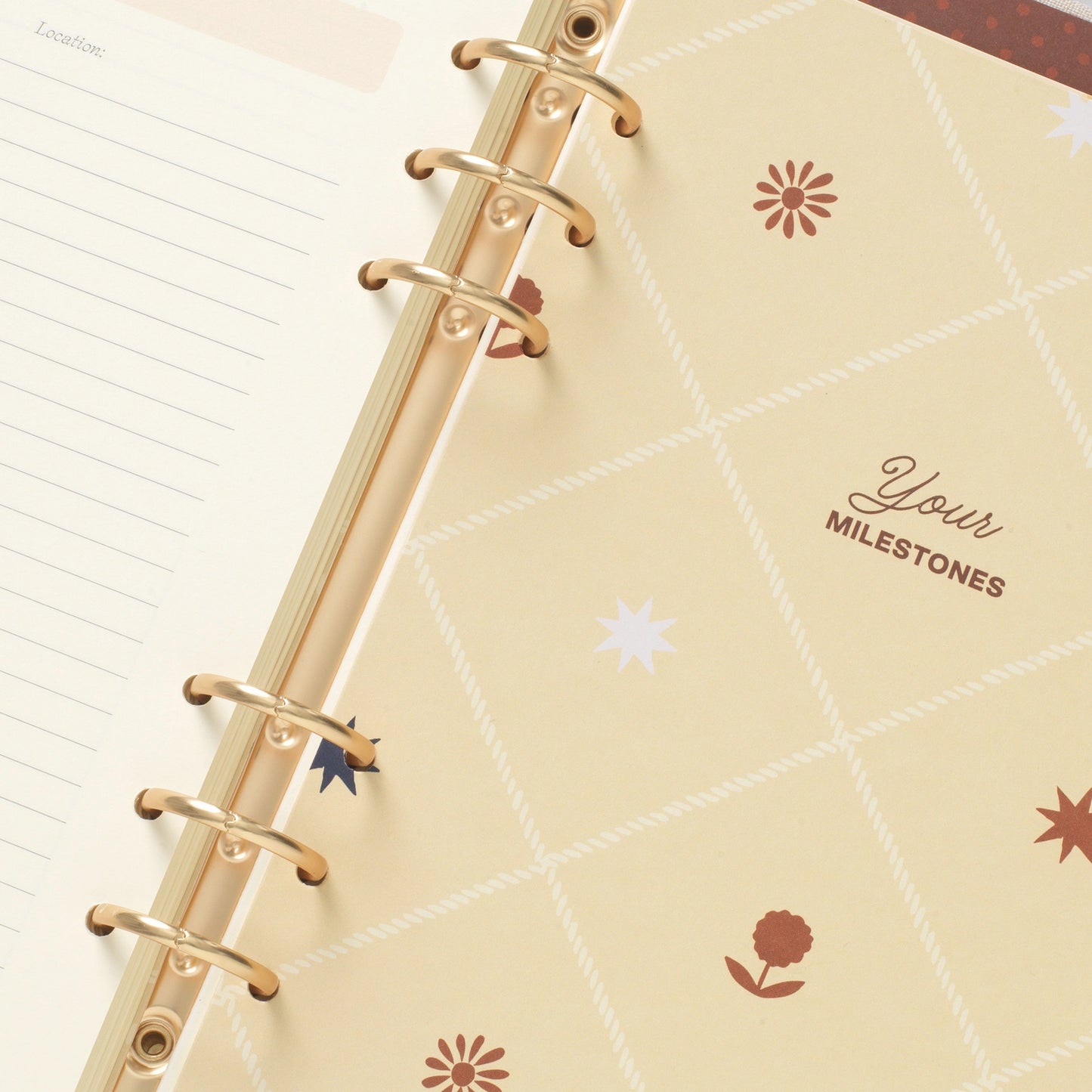 Baby Binder-Folio - Sun & Stars