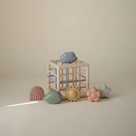 Elastic Shape Sorter