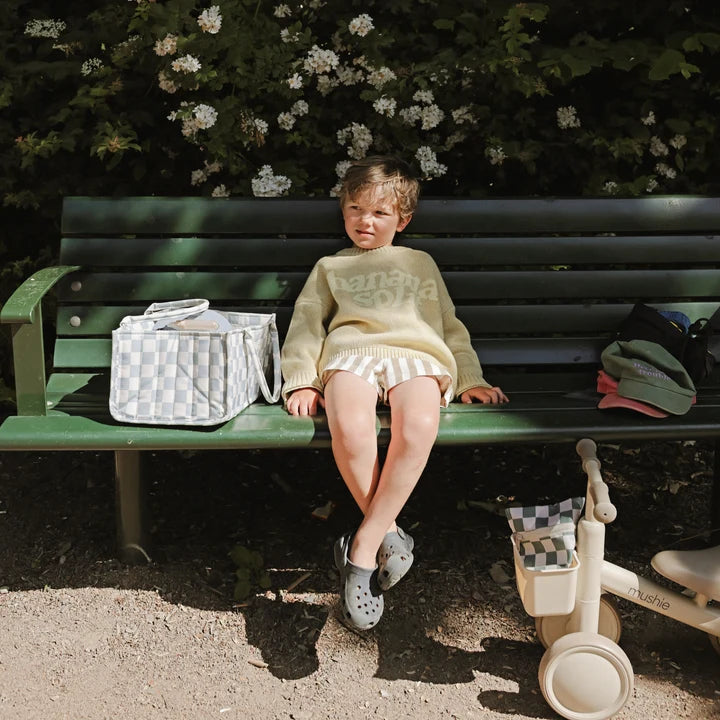 Diaper Caddy - Blue Check