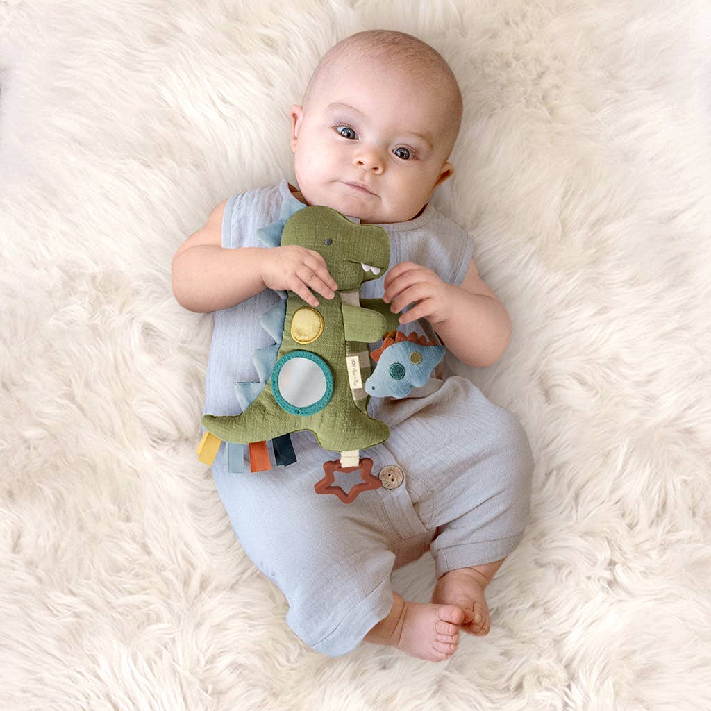 Dinosaur Sensory Travel Toy