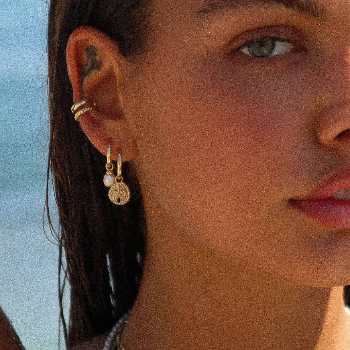 Sand Dollar Hoops