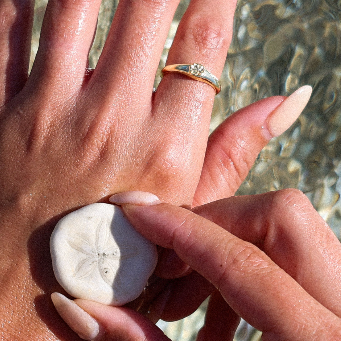 Sand Dollar Ring