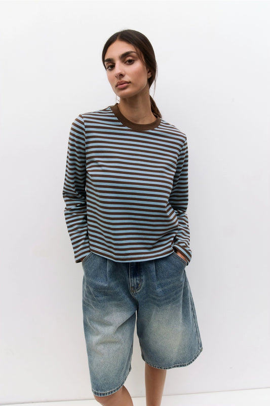 Brown + Blue Striped Long Sleeve Tee