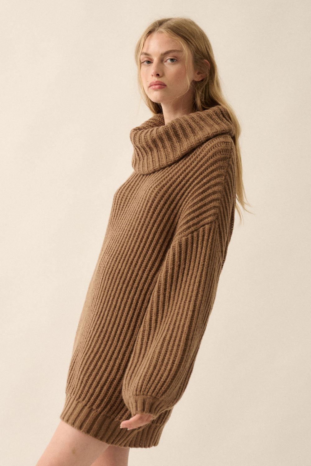 Rib Knit Turtle Neck Oversized Sweater (Brown)
