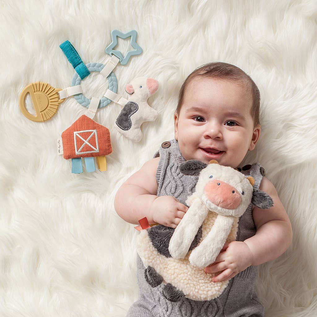 Teething Activity Toy