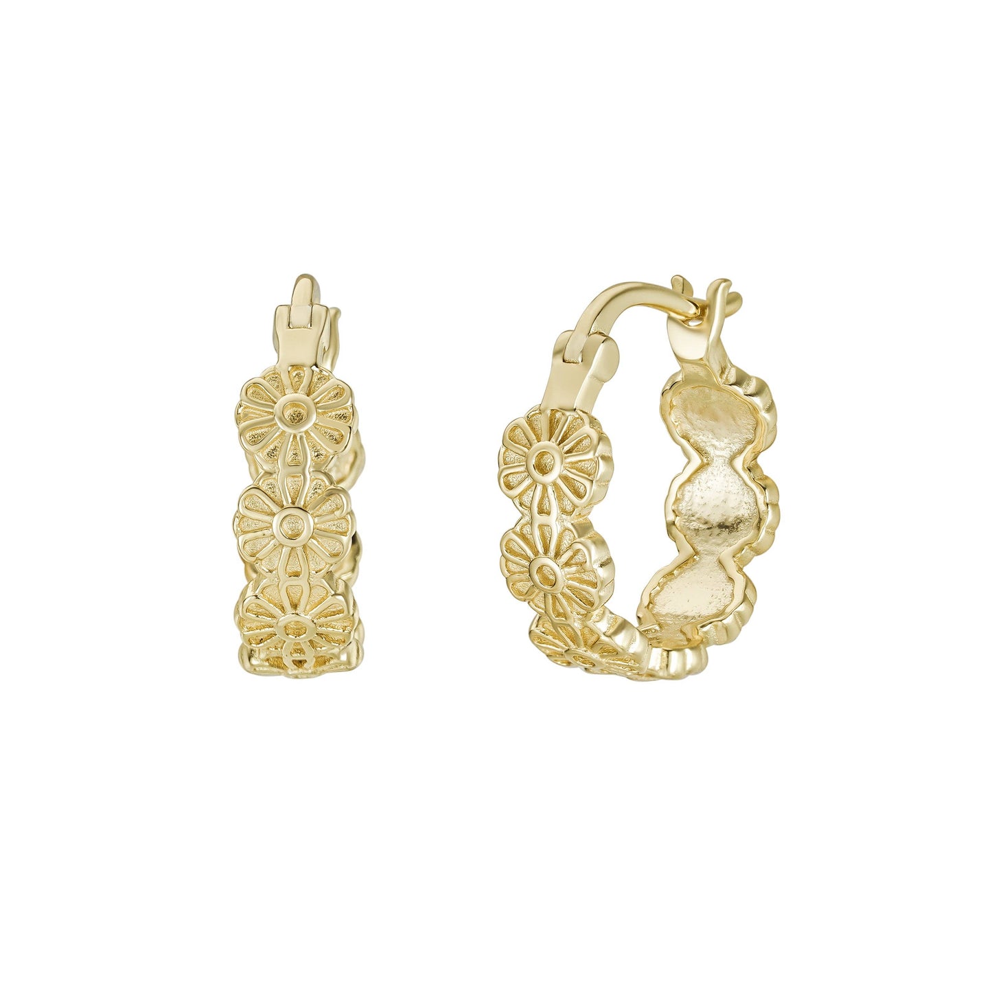 Danicka Hoops