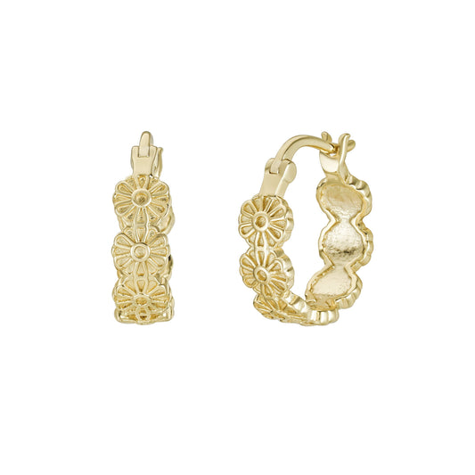 Danicka Hoops