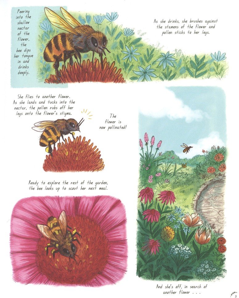 Slow Down Children's Book (50 Mindful Moments In Nature)