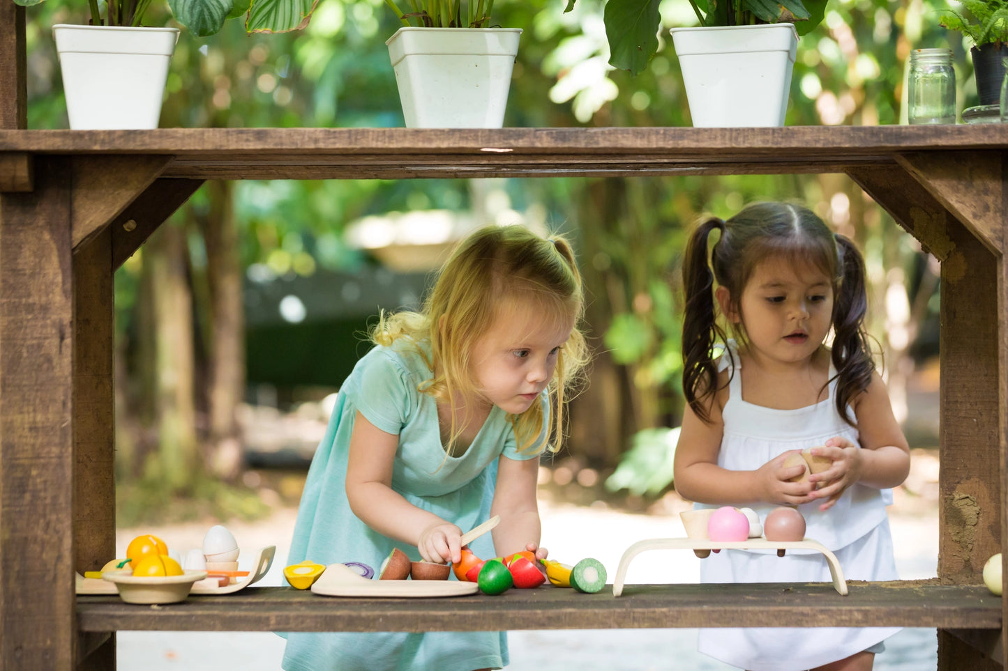 Assorted Fruit and Vegetable Wood Toy For Kids