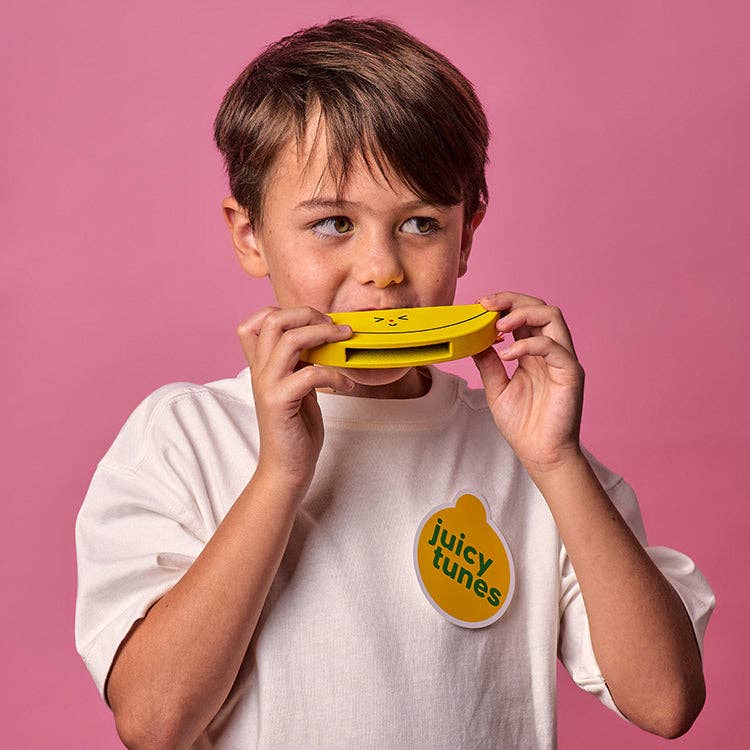 Wooden Fruit Harmonica