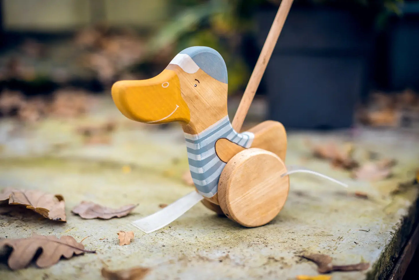 Wooden Duck Push Toy