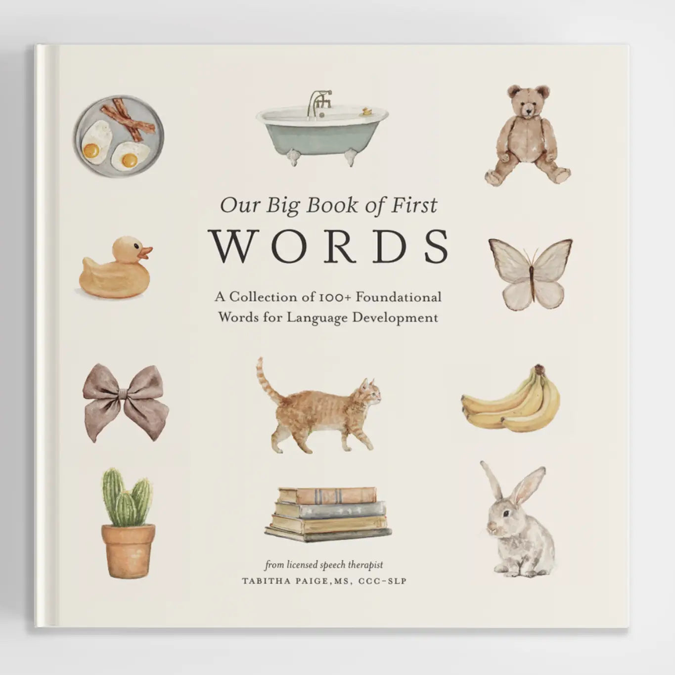 Our Big Book of First Words