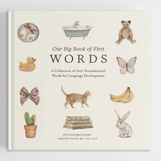 Our Big Book of First Words