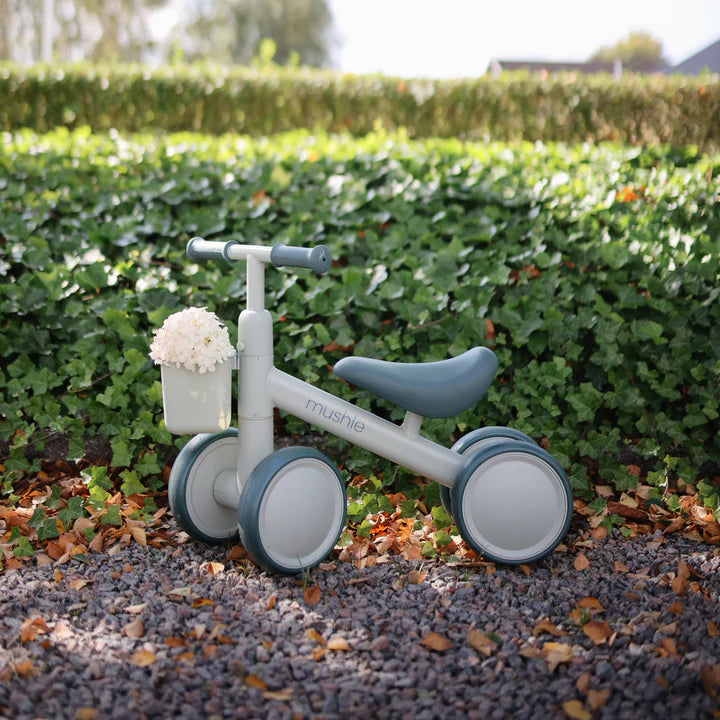 Mini Toddler Bike - Multiple Colors