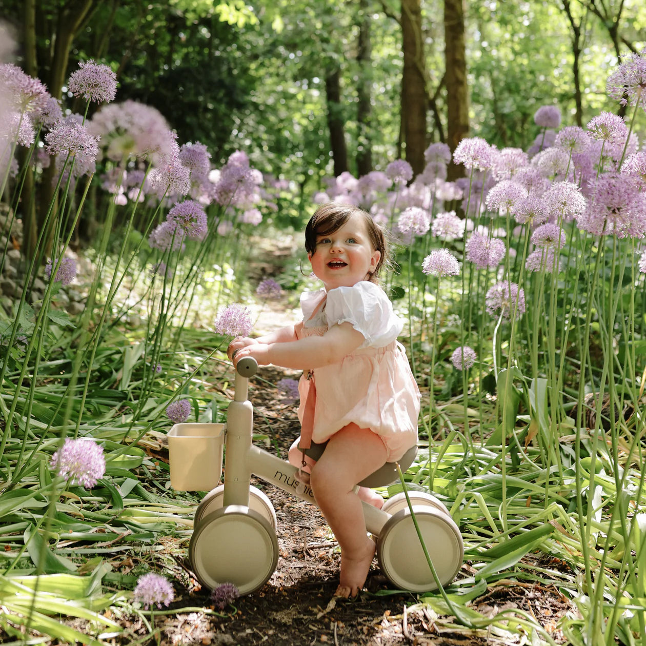 Mini Toddler Bike - Multiple Colors