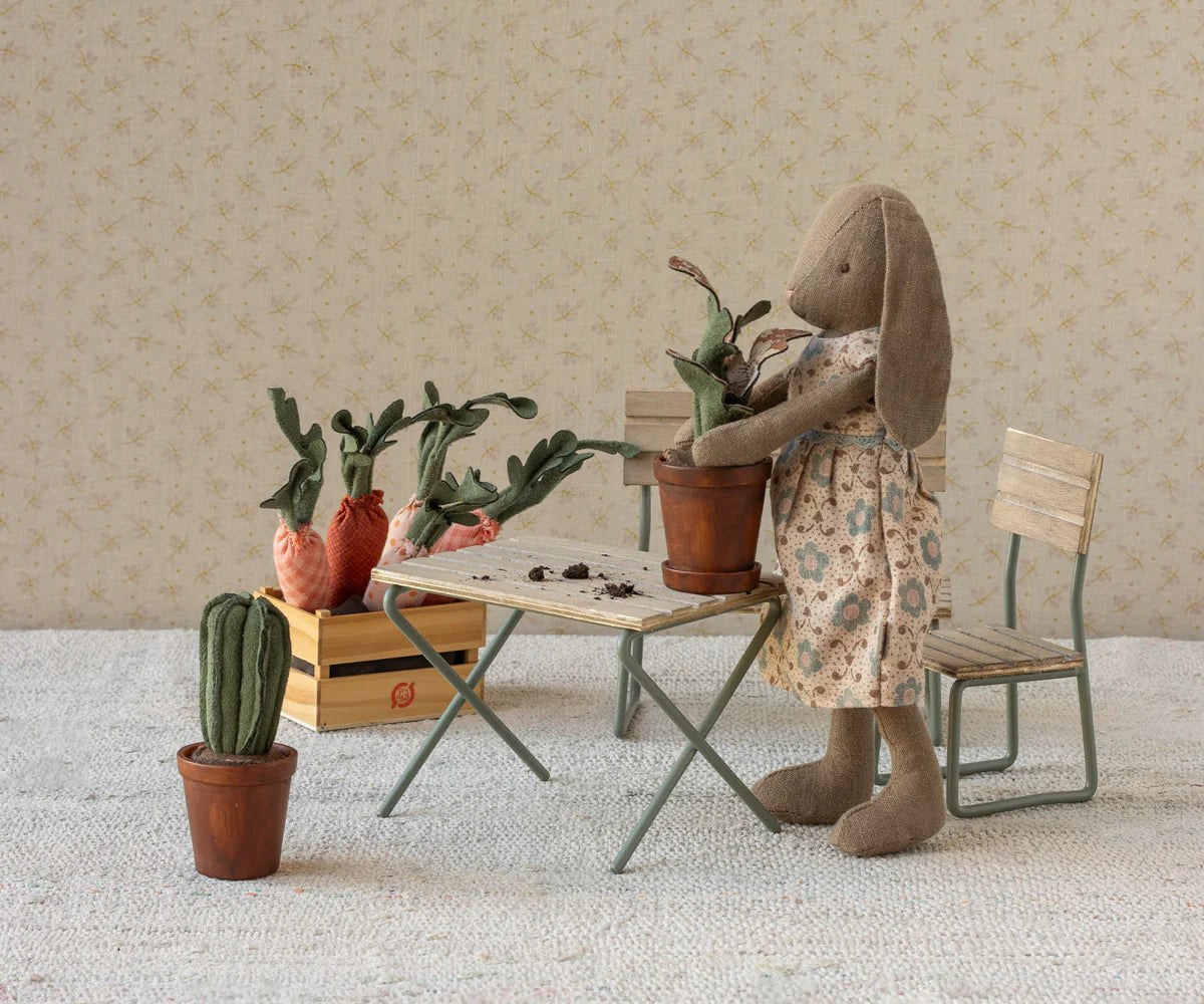Flower pot with cactus