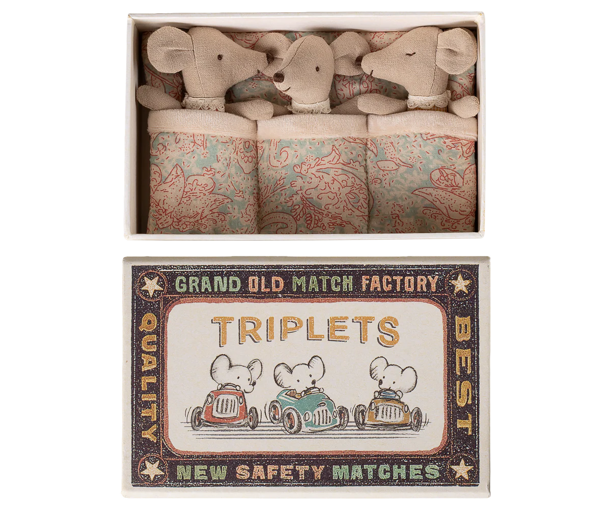 Triplets, Baby mice in matchbox