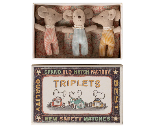 Triplets, Baby mice in matchbox