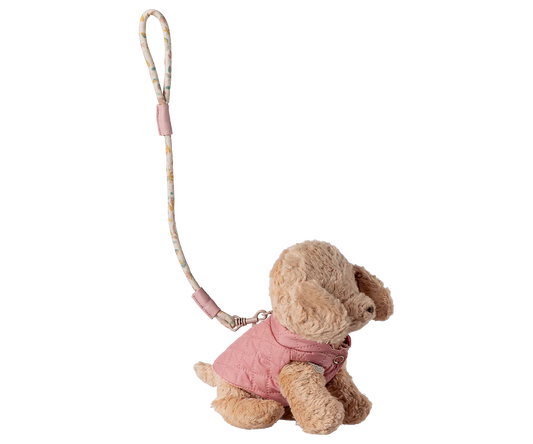 Pet supply, Harness and leash - Rose