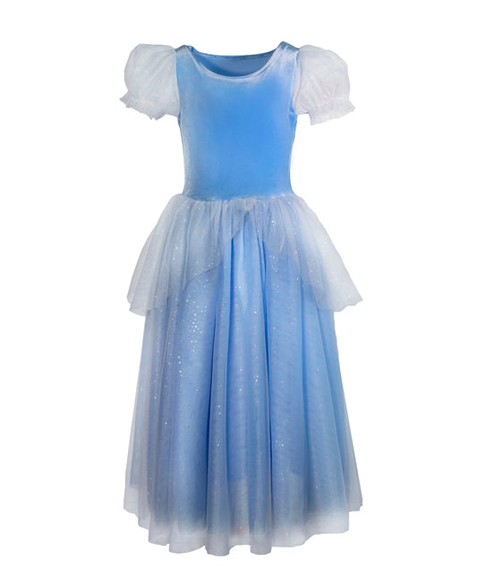 Princess Cinderella Costume Dress