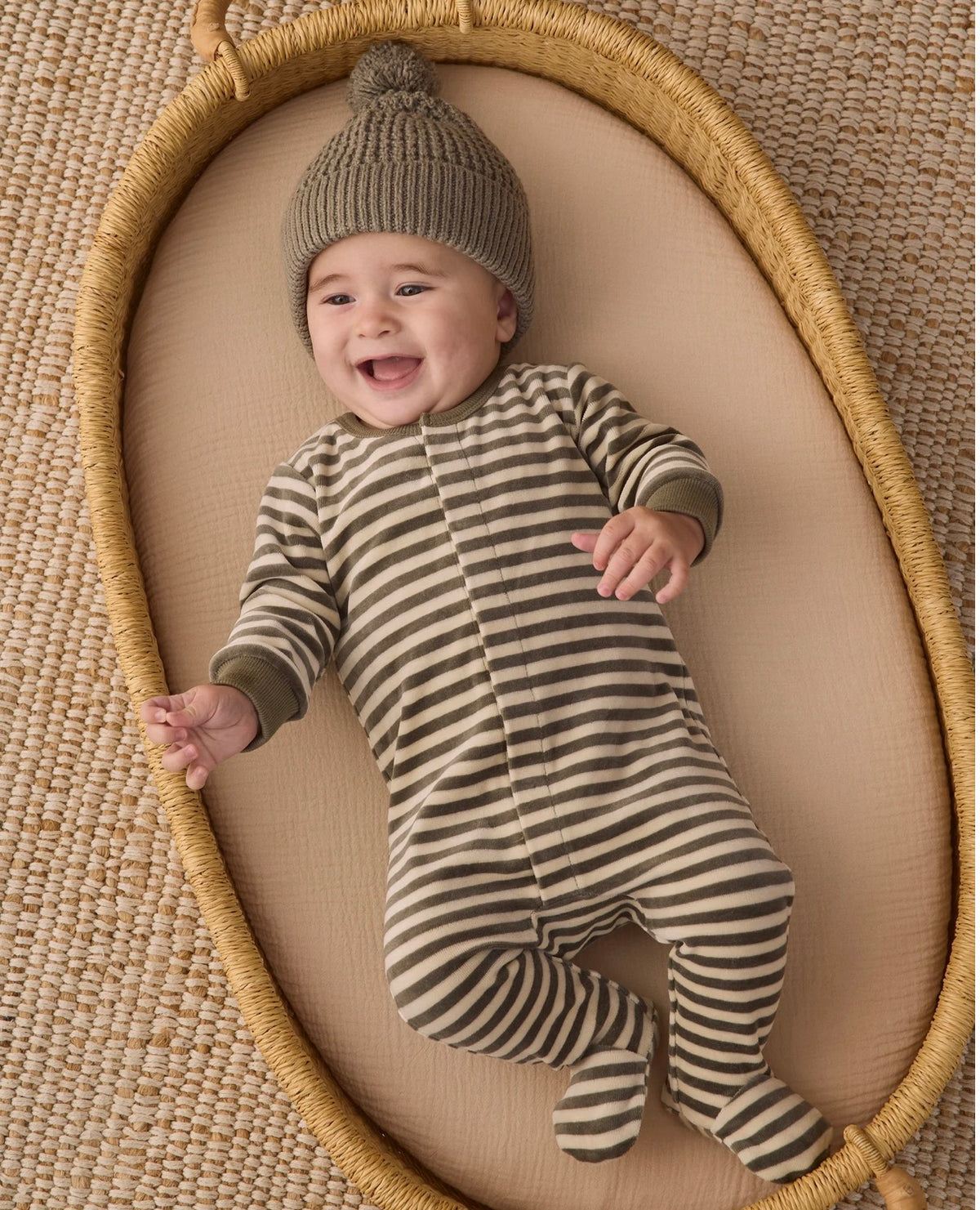Beanie Spruce