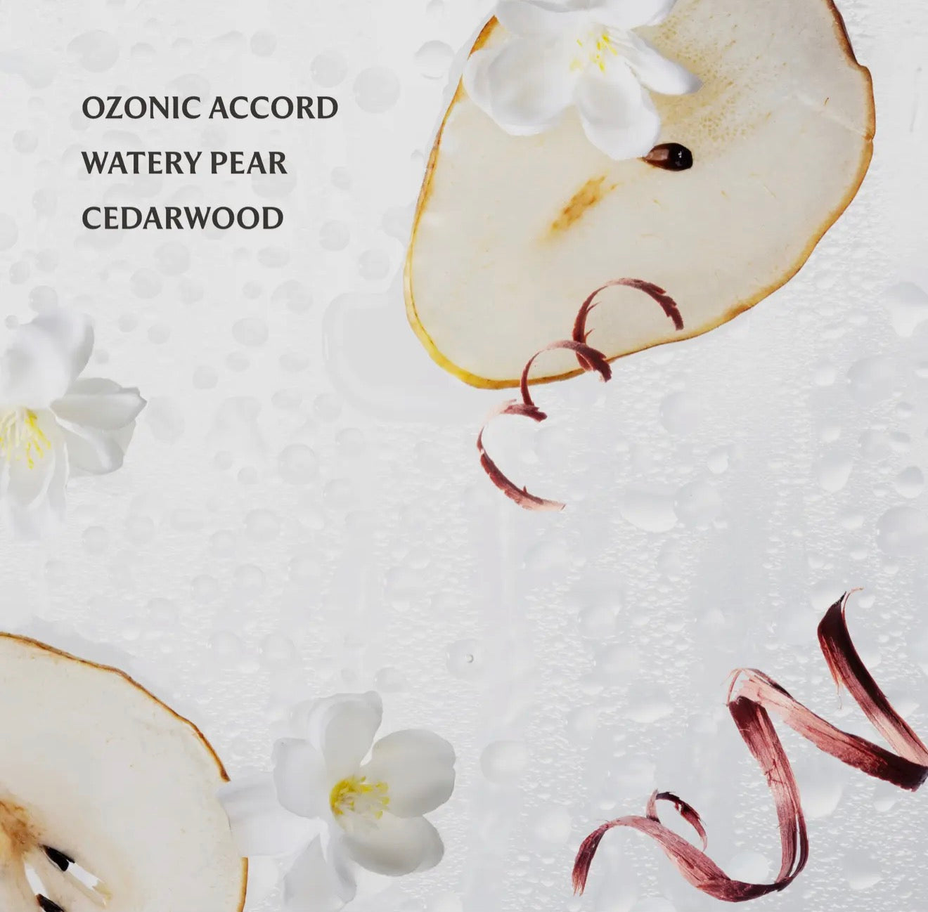 Rainwater Power Mist Hydrating Hand Sanitizer