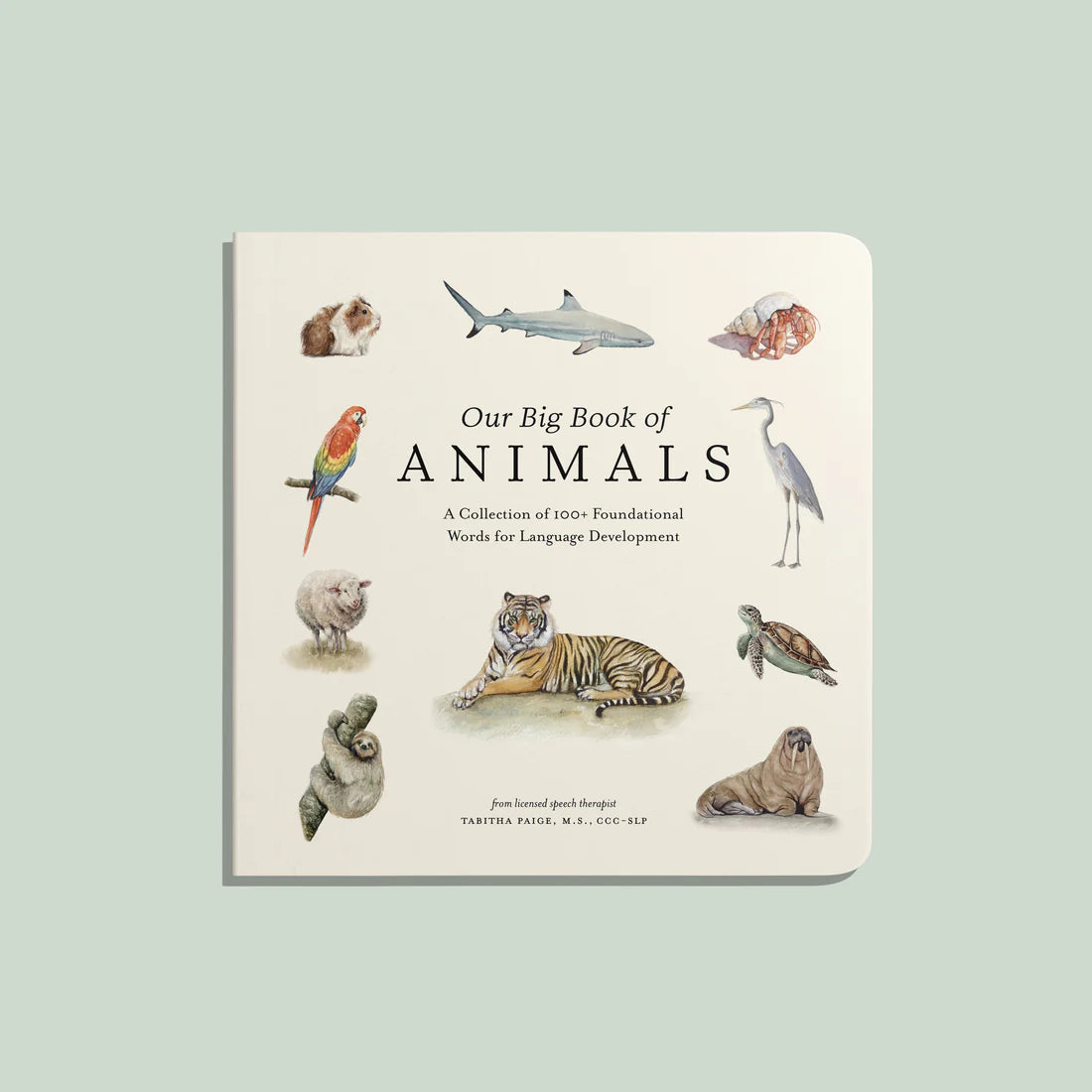 Our Big Book of Animals