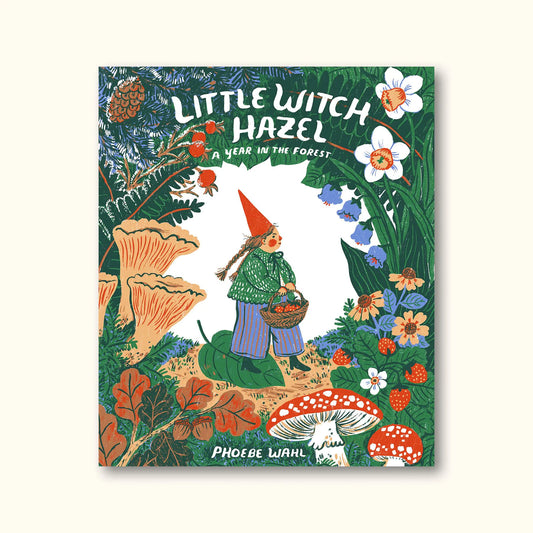 LITTLE WITCH HAZEL