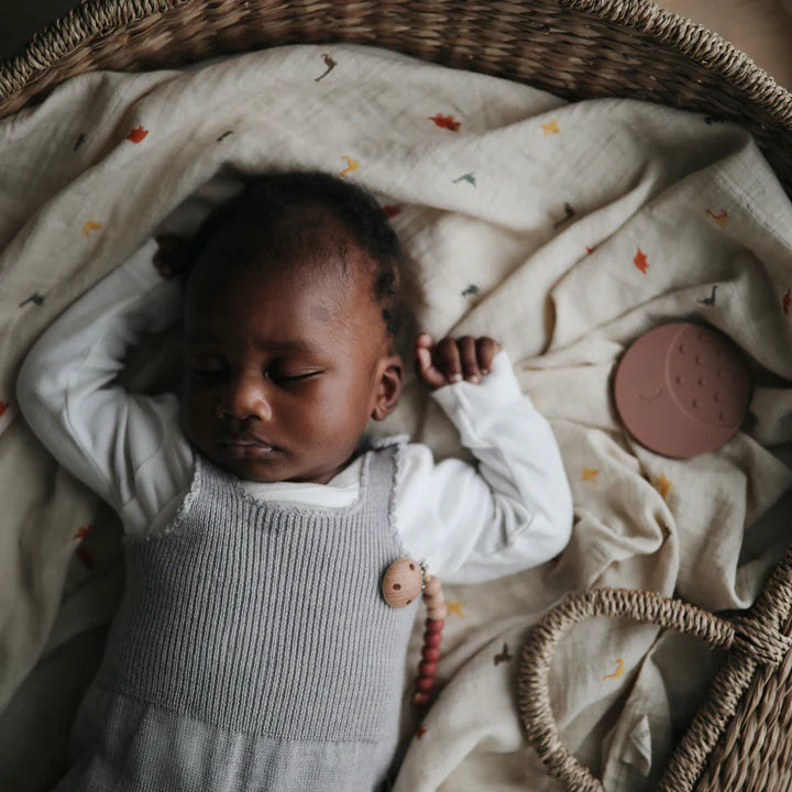 Organic Cotton Muslin Swaddle Blanket (Dinosaurs)