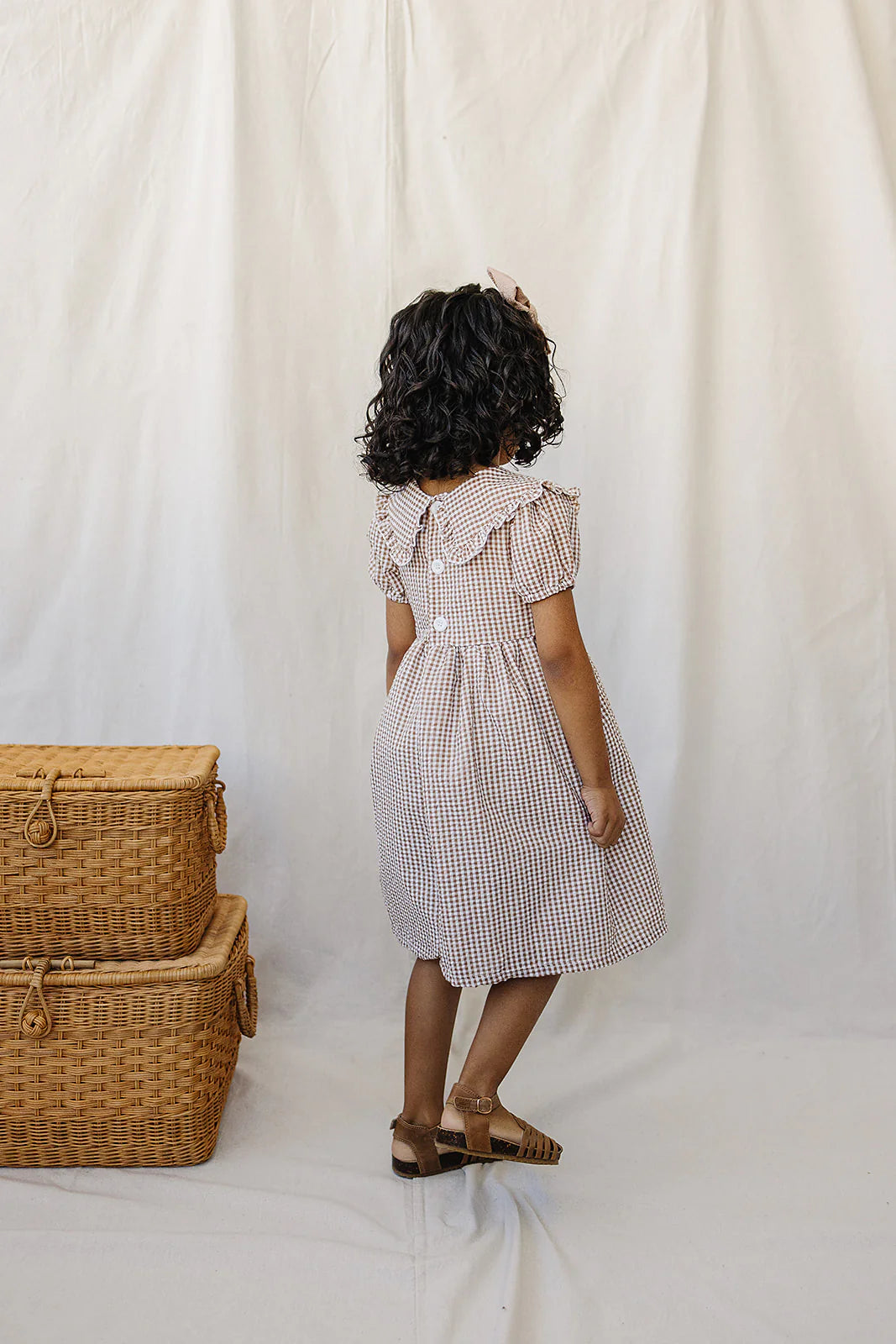 Gingham Collar Dress