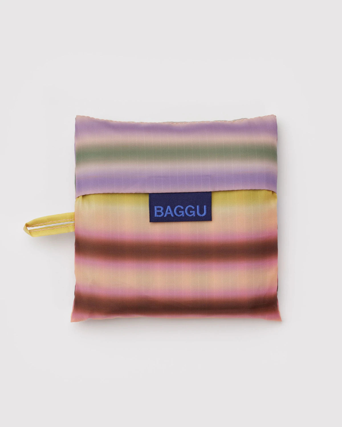 Standard Baggu (Gradient Stripe Multi)