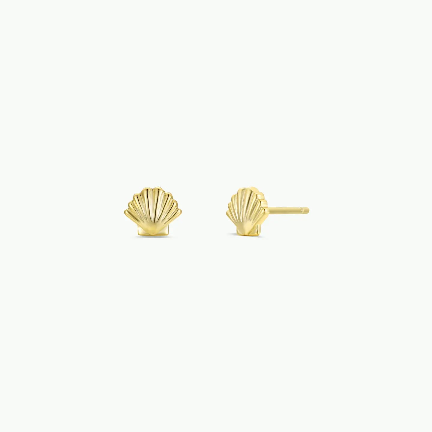 Seashell - Gold Earrings