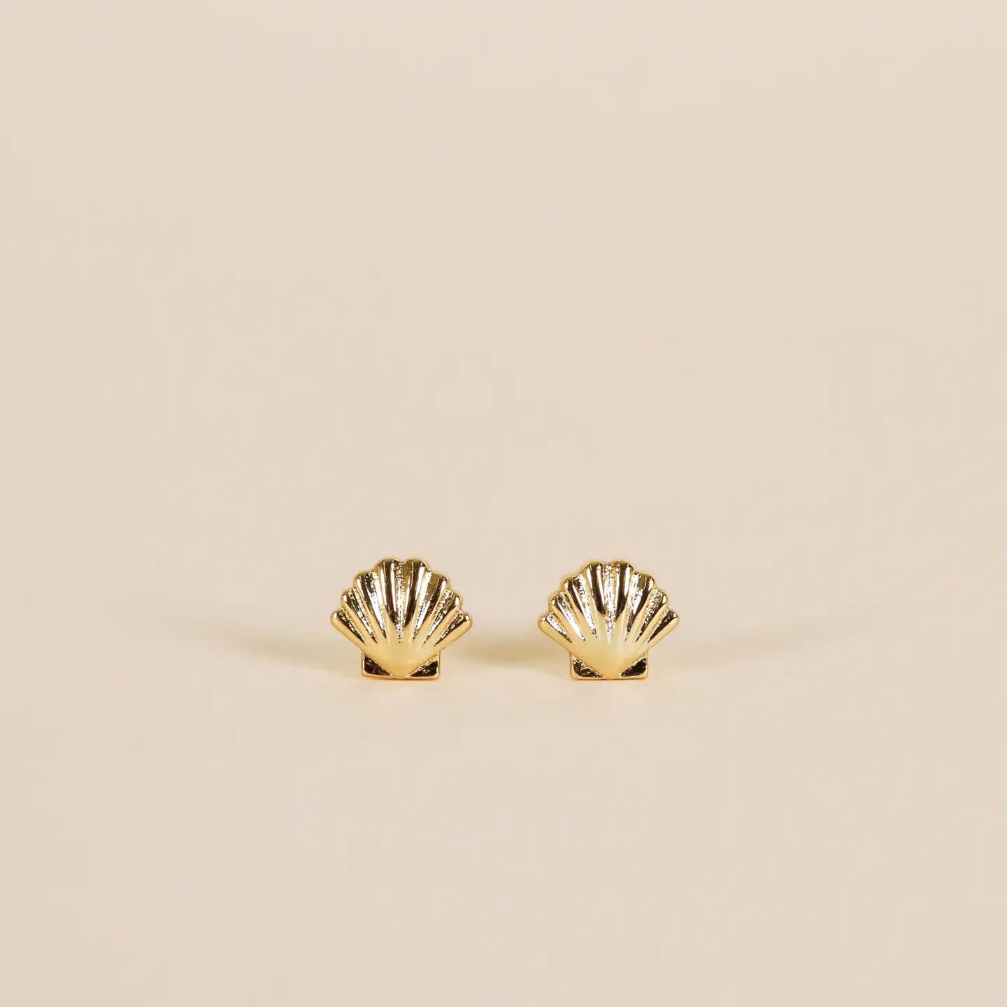 Seashell - Gold Earrings