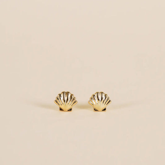 Seashell - Gold Earrings