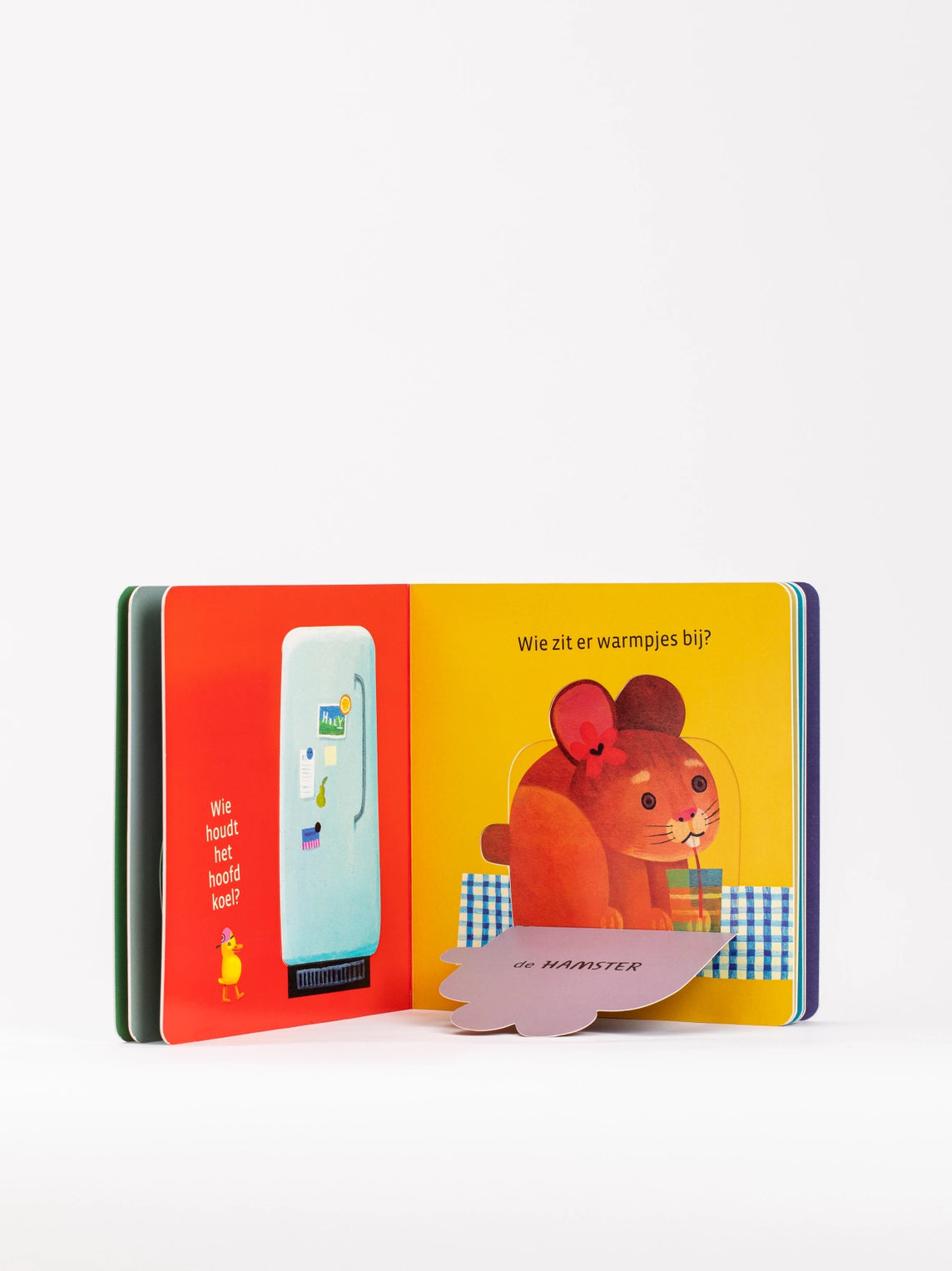 Where Is Everyone? A Lift the Flap Book